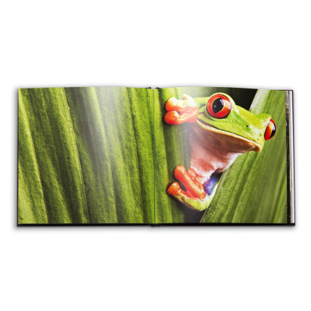 Бумага FlexBind Satin Coated Cover, белый шлиц, 216 г/м2, 330x330 мм