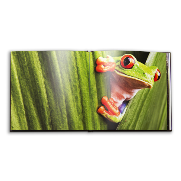 Бумага FlexBind Satin Coated Cover, белый шлиц, 216 г/м2, 330x330 мм